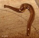 Wildlife and Animals in Pennsylvania 191 Home174