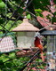 Wildlife and Animals in Pennsylvania 26 Home9