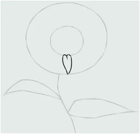 flower2