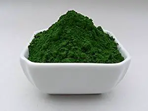 Benefits of Marine Phytoplankton Powder