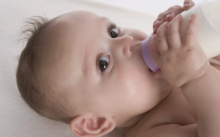 Best Baby Bottle Warmers Best Baby Bottle Warmers