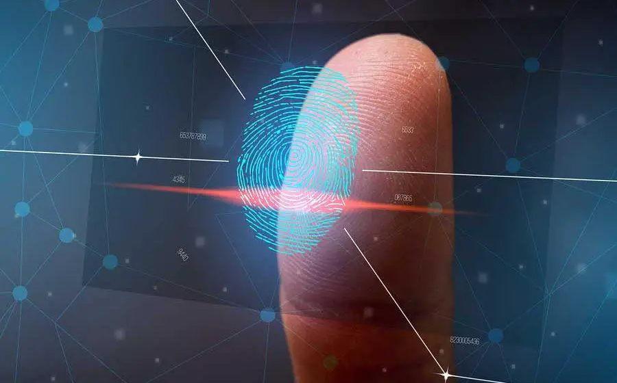 Do Fingerprints Grow Back If Burnt Do Fingerprints Grow Back If Burnt