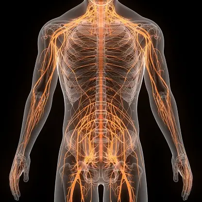 What happens if nerve ablation doesn't work 1 What happens if nerve ablation doesn't work