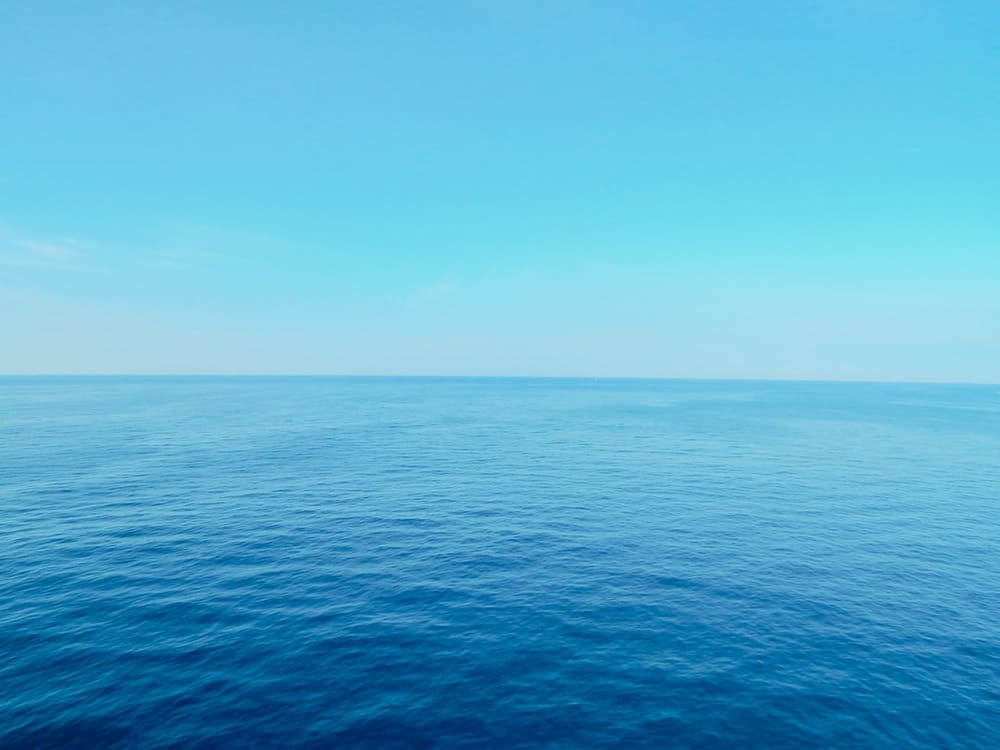 What Happens If You Drink Ocean Water