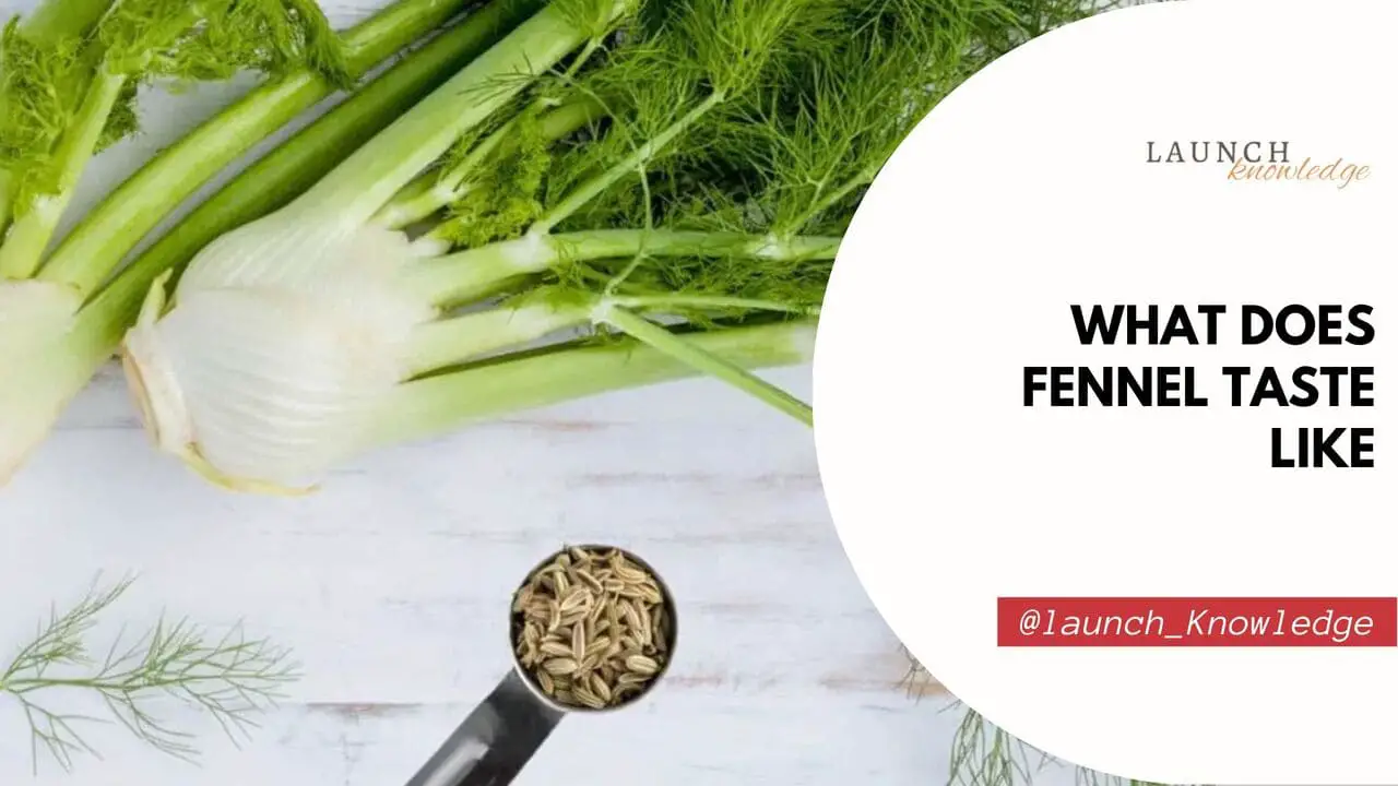 What Does Fennel Taste Like