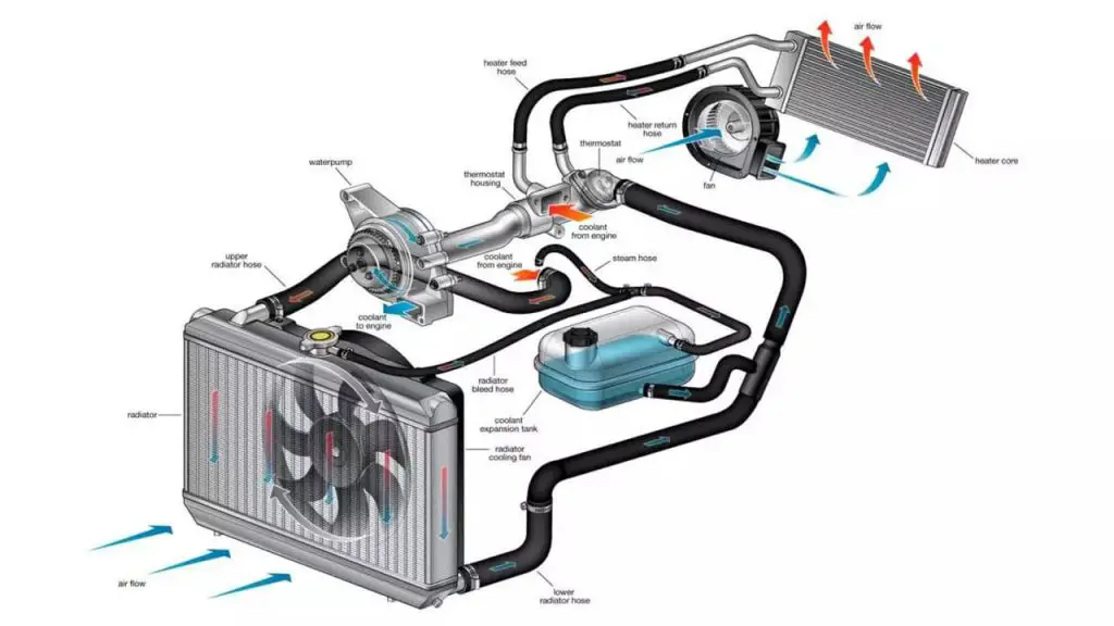 How Does The Water Pump Work And Circulate Coolant Throughout Your Car’s Engine