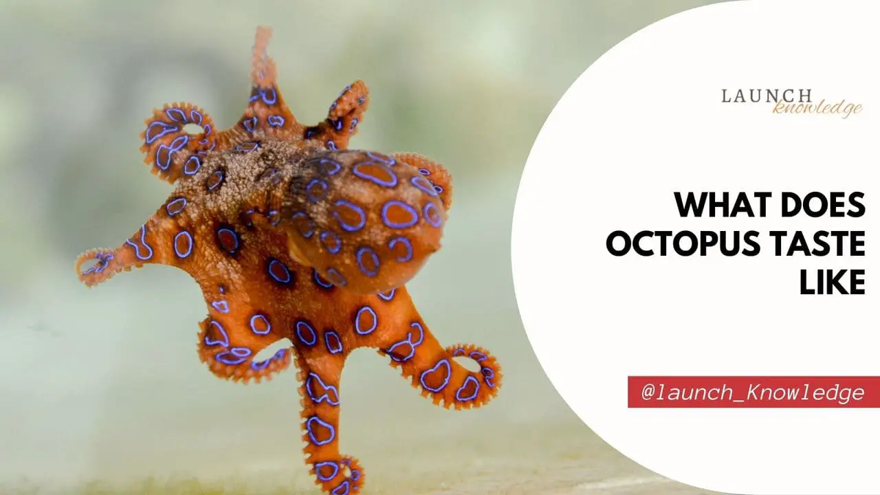 What Does Octopus Taste Like