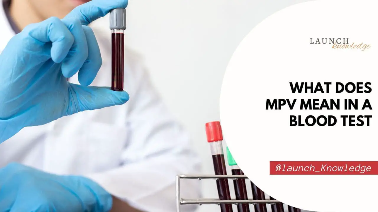 What Does MPV Mean In A Blood Test