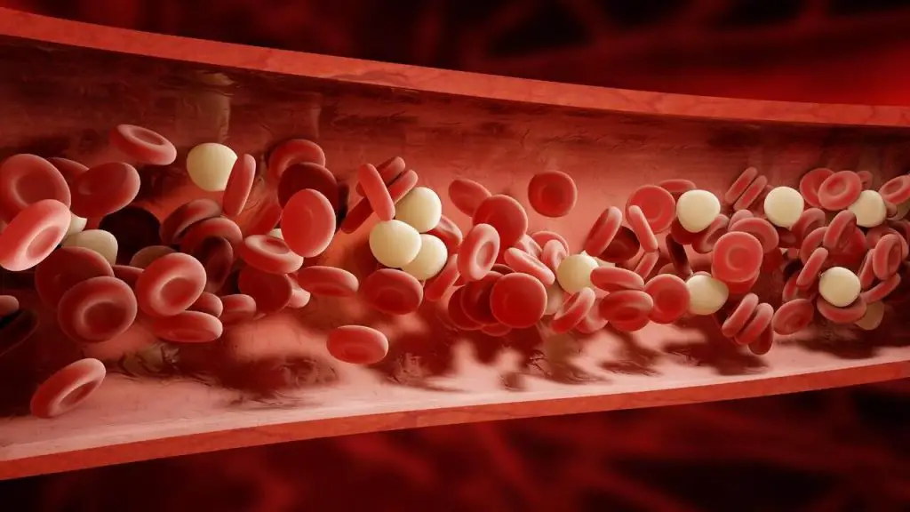 What Does Dried Blood Look Like 1 blood