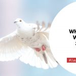 What Does A White Dove Symbolize