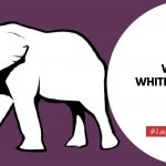 What Does White Elephant Mean