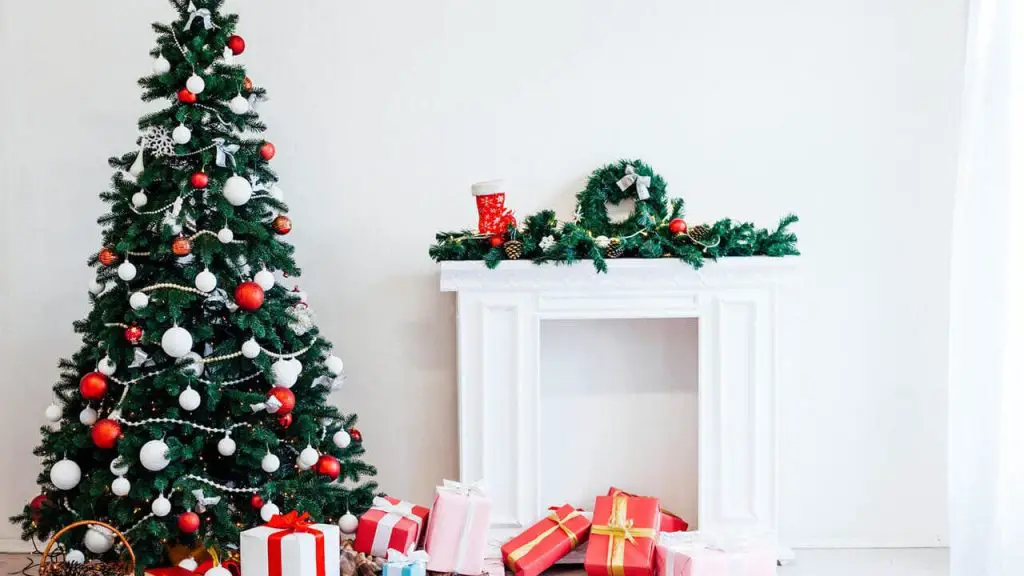 How Long Does It Take To Grow A Christmas Tree 1 Christmas Tree Decorations