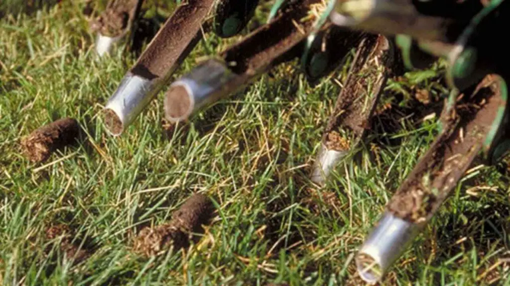 How To Aerate Soil: Tips for Gardening 1 make soil fertile