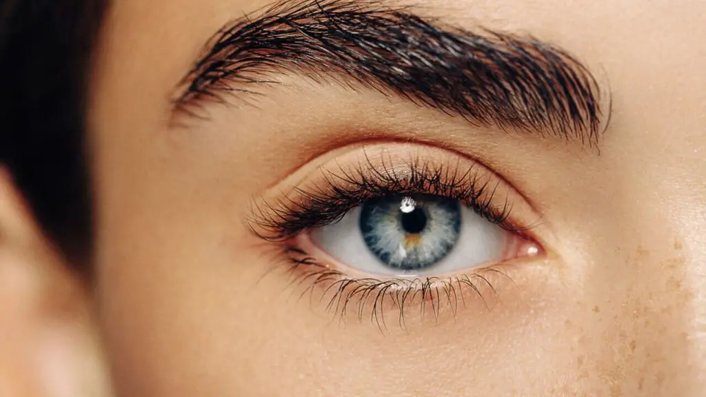 How Long Does It Take For Eyelashes To Grow Back 1 girl's eyelash