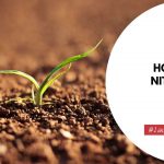 How To Add Nitrogen To Soil