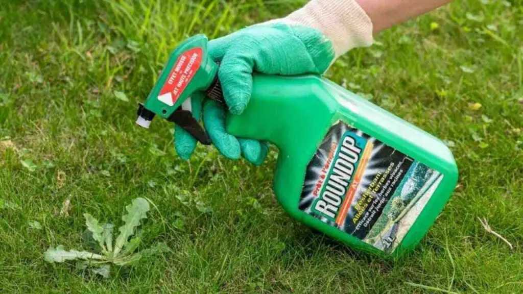 How Long Does Roundup Stay In The Soil 1 soil protection