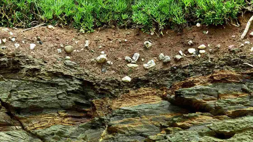 soil formation