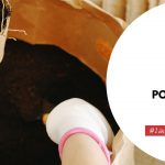 How To Sterilize Potting Soil