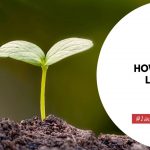 How to Make Loamy Soil