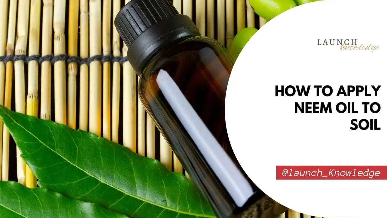 How To Apply Neem Oil To Soil