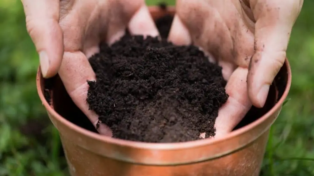 How To Sterilize Potting Soil: Tips For Gardening 1 potting