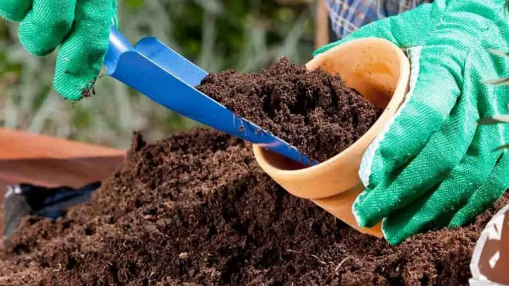 How to Store Potting Soil: Tips For Gardening 1 soil