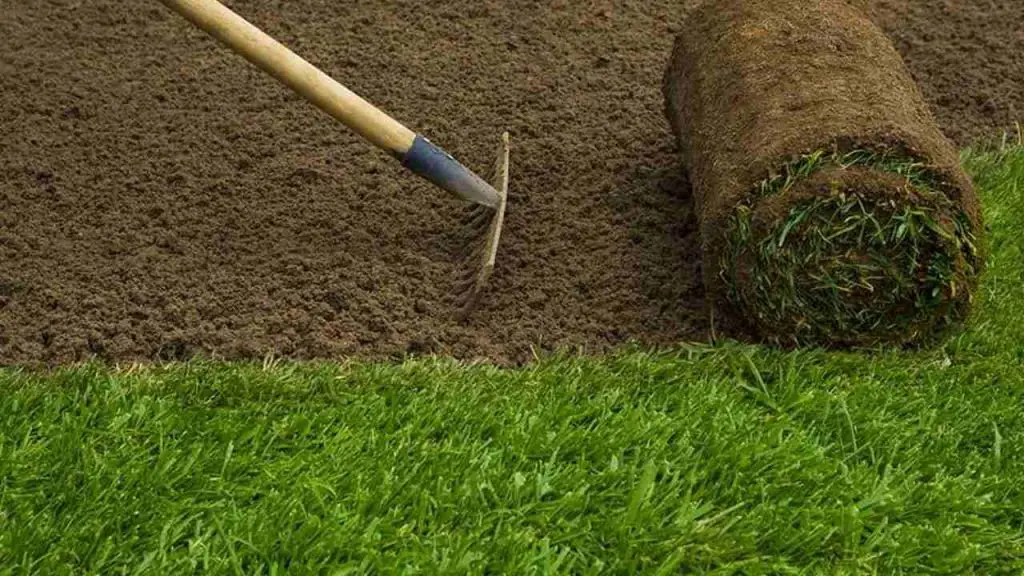 How To Prepare Soil For Sod Installation 1 Sod