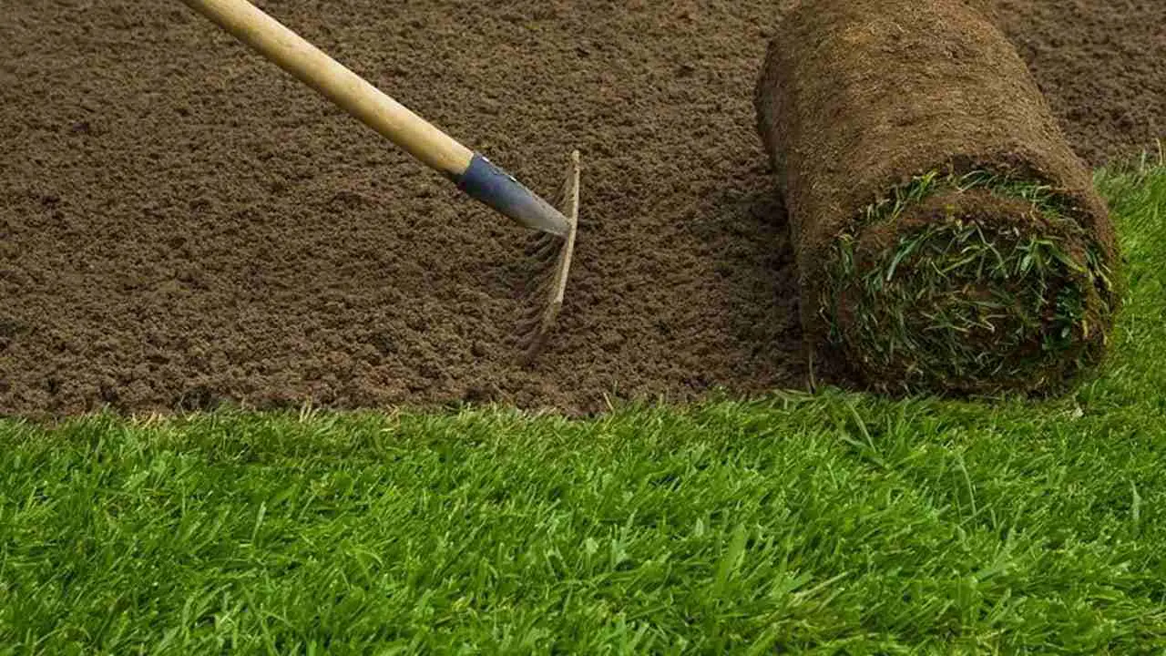 How To Prepare Soil For Sod Installation