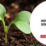 how to make soil alkaline