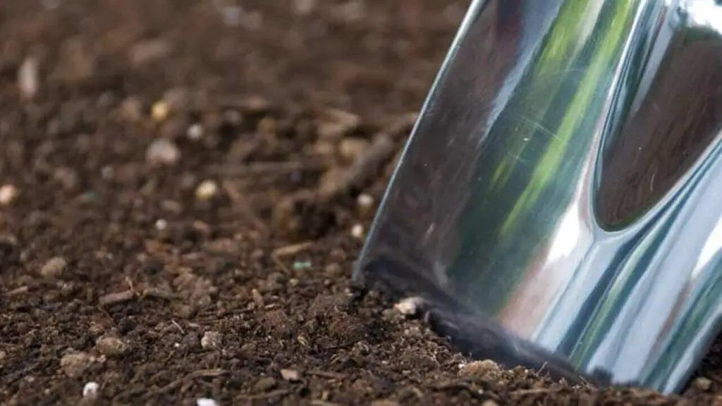 How to Take a Soil Sample: Things to Know 1 soil