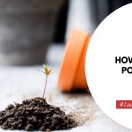 How to Store Potting Soil
