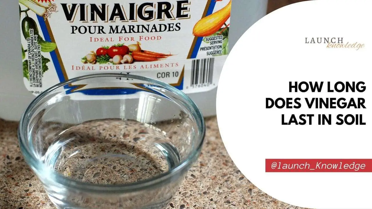 How Long Does Vinegar Last in Soil Tips for Gardening
