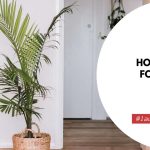 How To Care For Majesty Palm