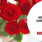 How To Take Care Of Roses In A Vase
